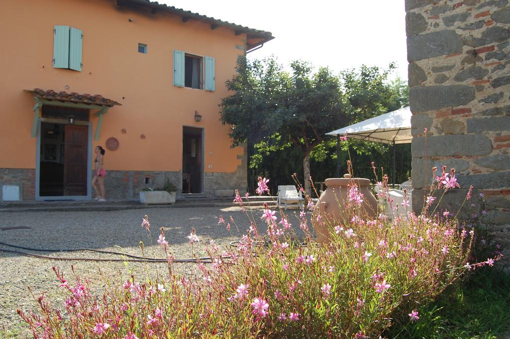 Villa Fattoria Antognoni Reggello Exterior foto